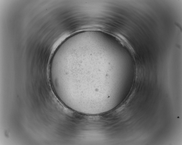 X0000103161196200809051652