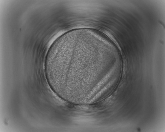 X0000103161197200809051652