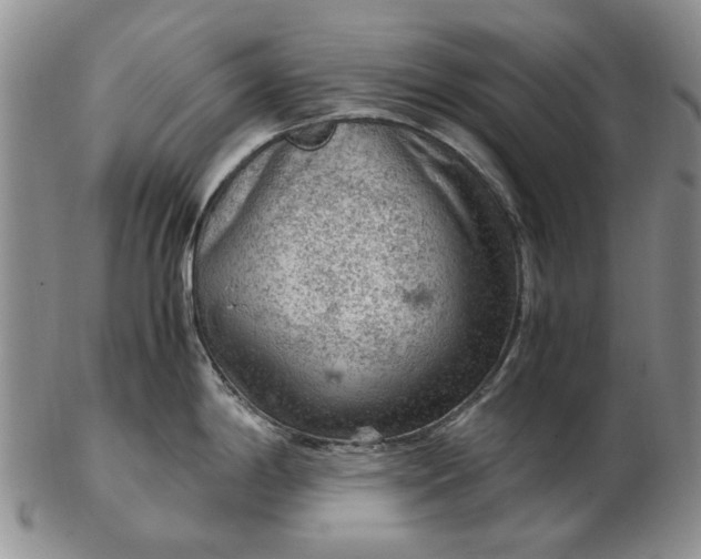 X0000103161198200809051652