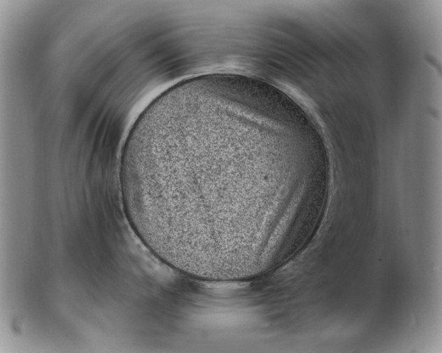 X0000103161200200809051652