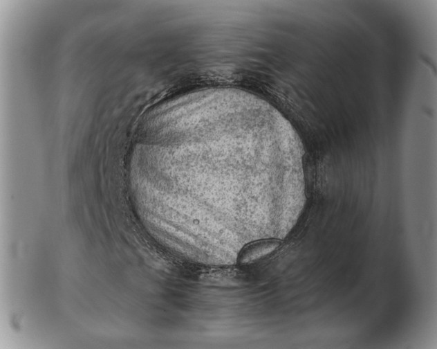 X0000103161201200809051652