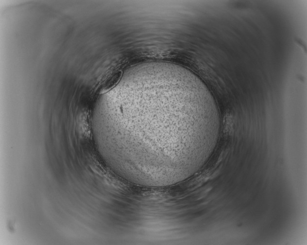 X0000103161202200809051652