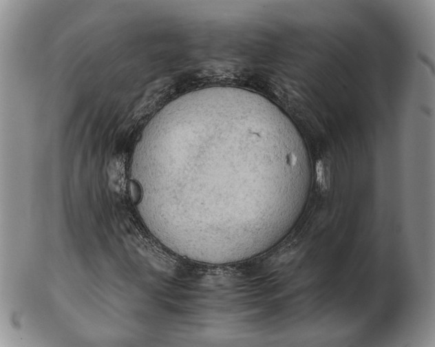 X0000103161203200809051652