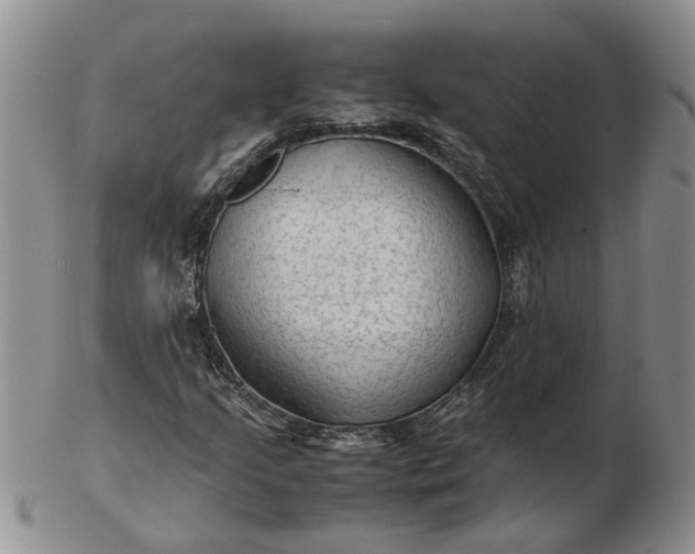 X0000103161205200809051652