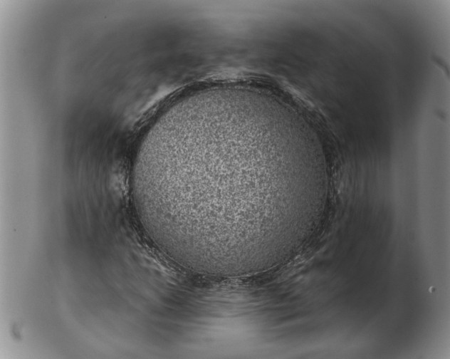 X0000103161206200809051652