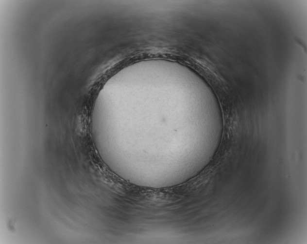 X0000103161207200809051652