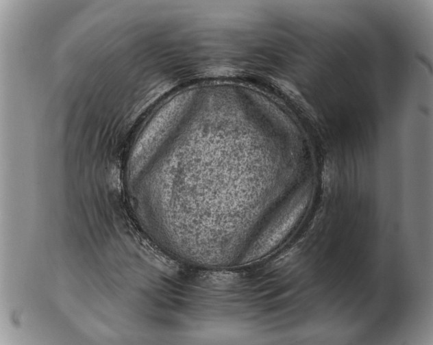 X0000103161209200809051652