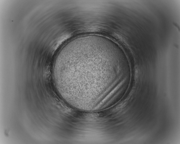 X0000103161210200809051652