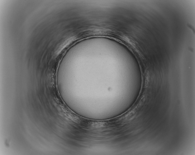 X0000103161211200809051652