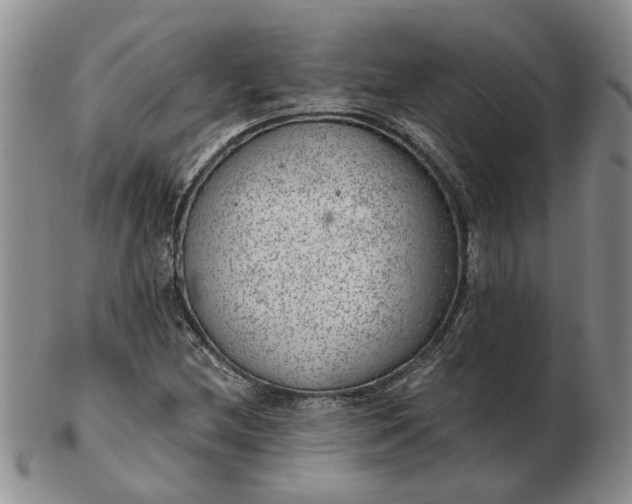 X0000103161212200809051652