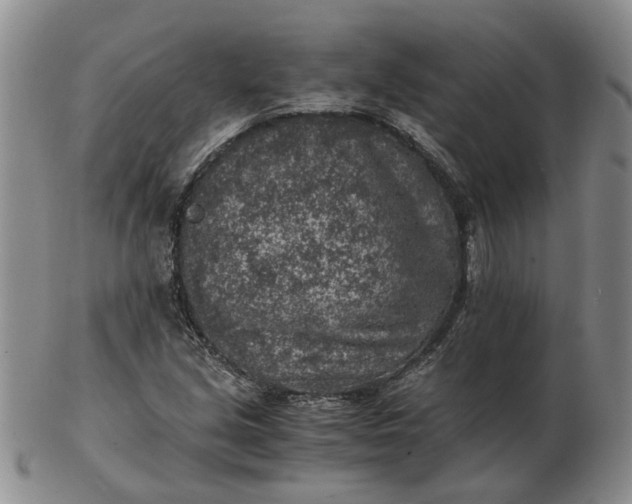 X0000103161213200809051652