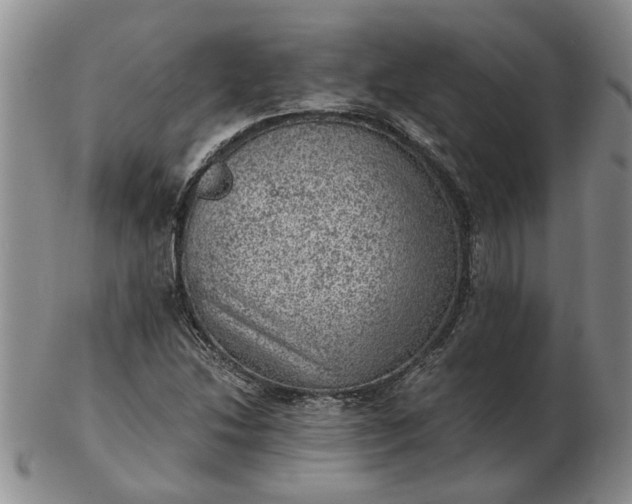 X0000103161214200809051652