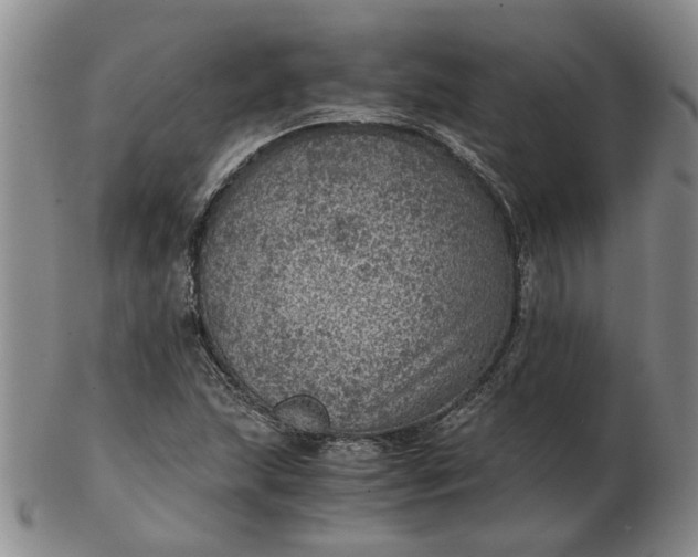 X0000103161215200809051652