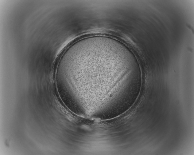 X0000103161216200809051652