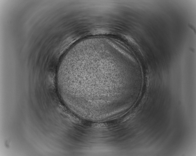 X0000103161217200809051652