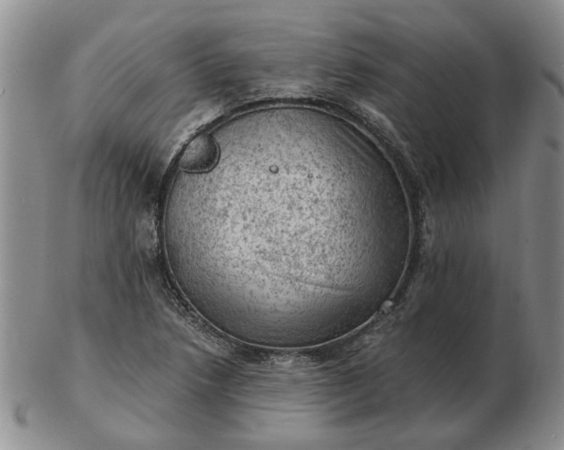 X0000103161218200809051652