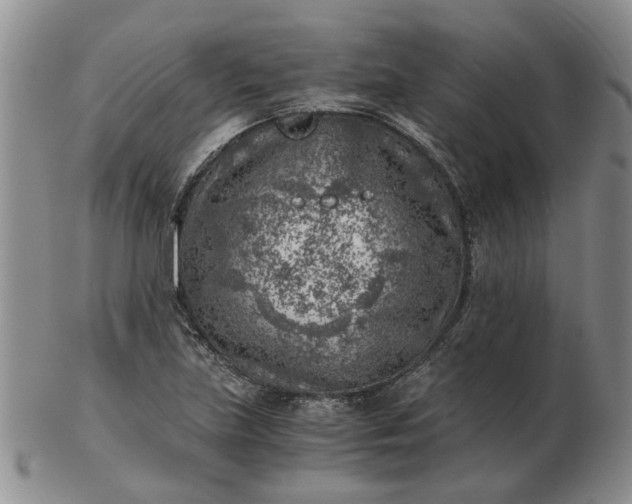 X0000103161219200809051652