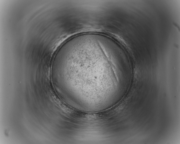 X0000103161220200809051652