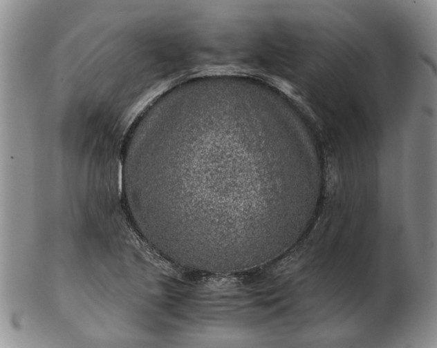 X0000103161221200809051652