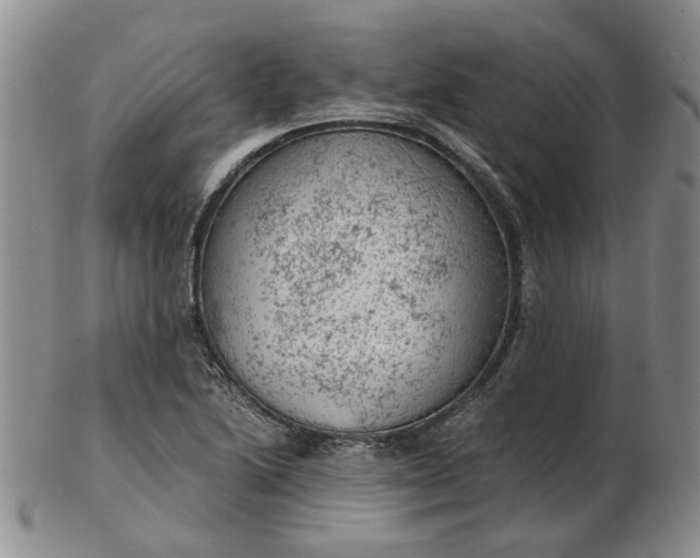 X0000103161222200809051652