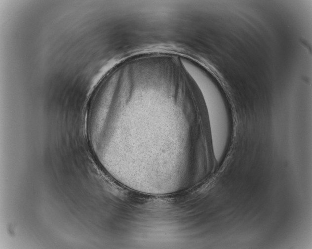 X0000103161224200809051652