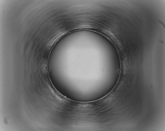 X0000103161225200809051652