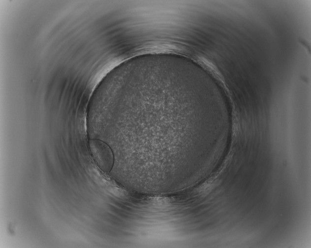 X0000103161226200809051652