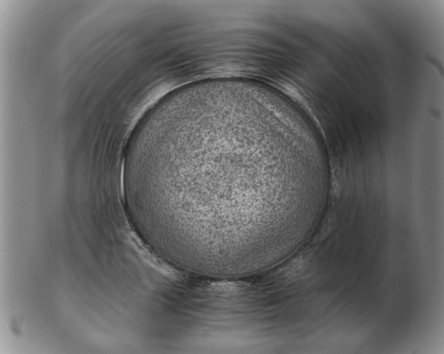 X0000103161227200809051652