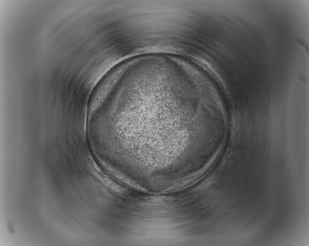 X0000103161228200809051652