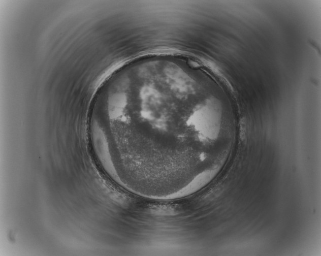 X0000103161229200809051652