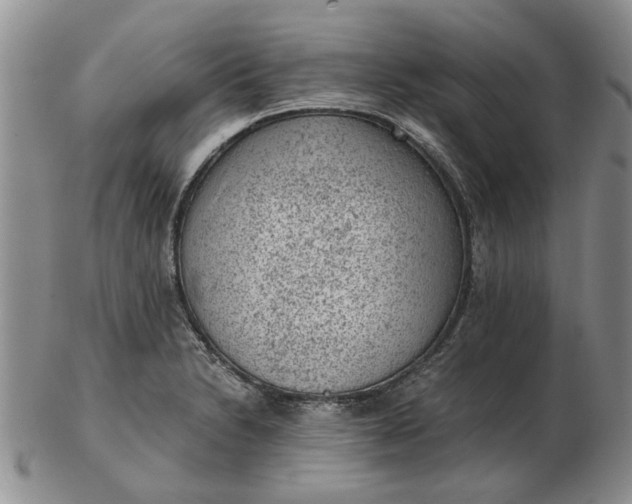 X0000103161230200809051652