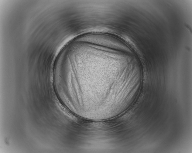 X0000103161232200809051652