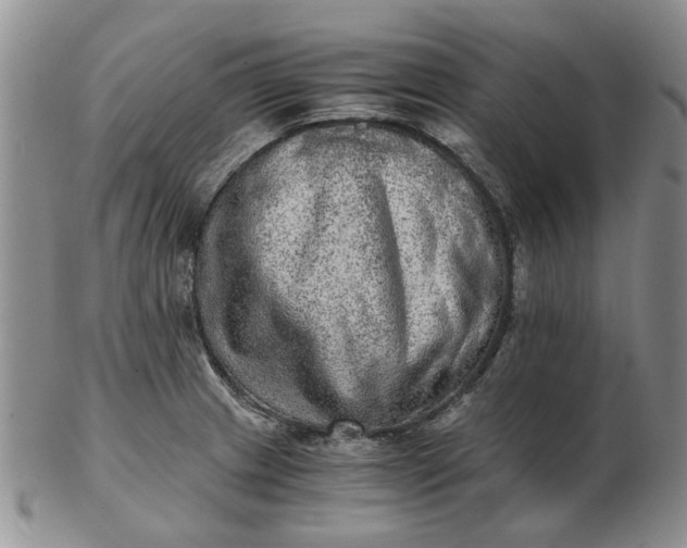 X0000103161233200809051652