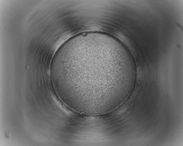 X0000103161234200809051652