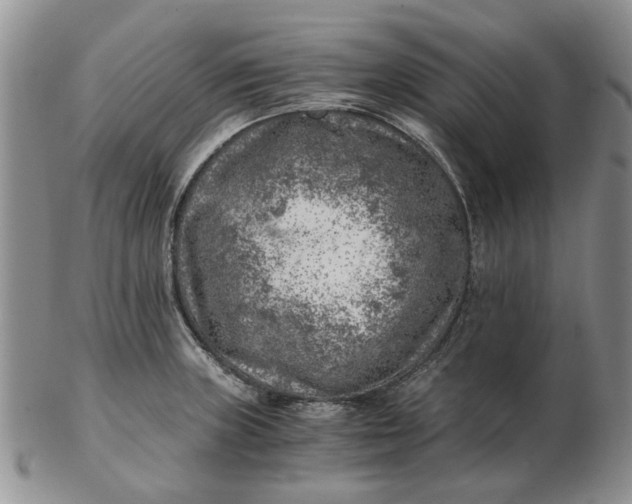 X0000103161235200809051652