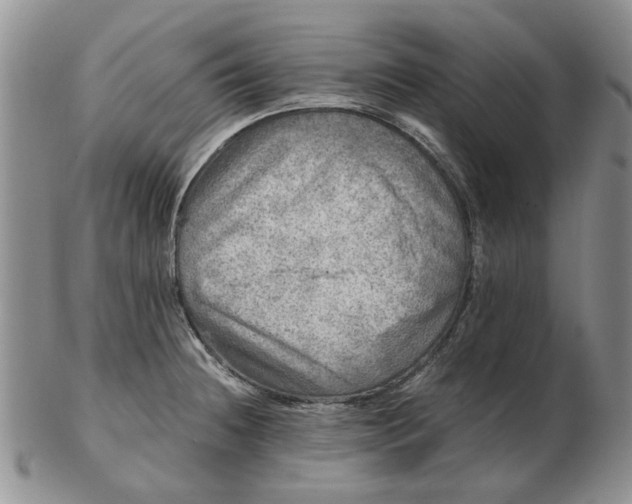 X0000103161236200809051652