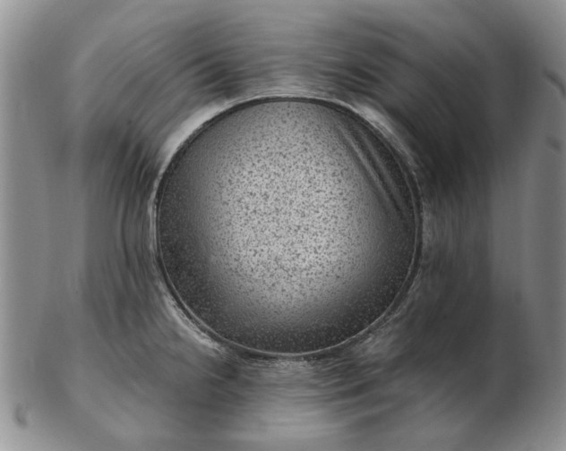 X0000103161238200809051652