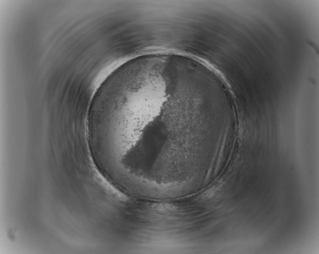 X0000103161239200809051652