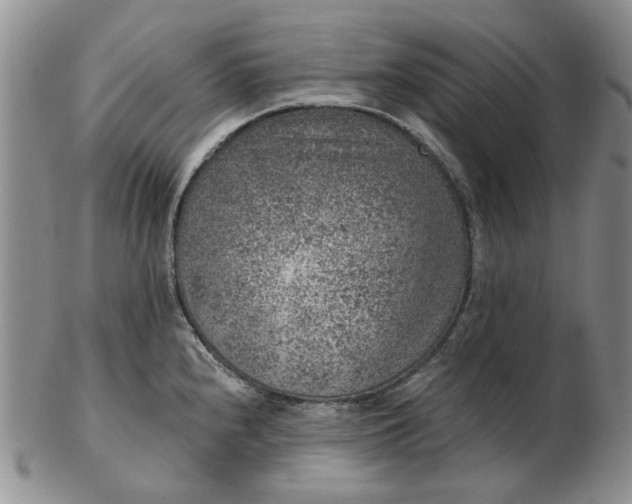 X0000103161240200809051652