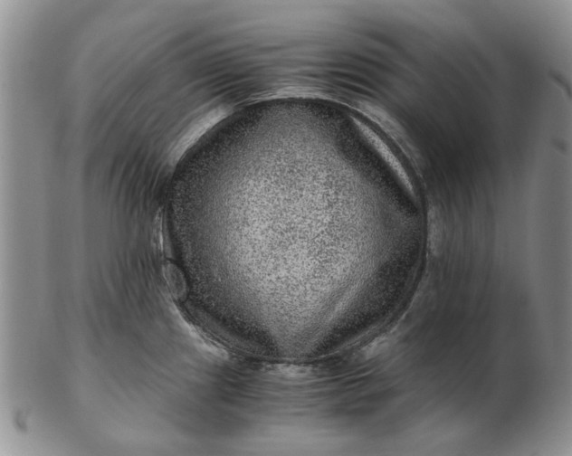 X0000103161241200809051652