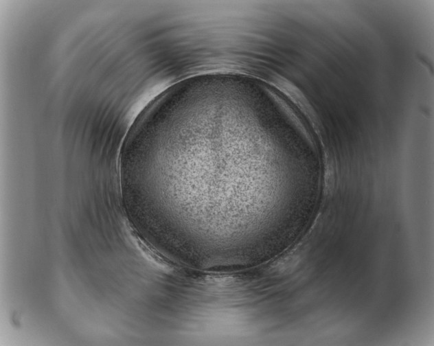 X0000103161242200809051652