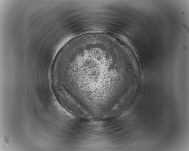 X0000103161243200809051652