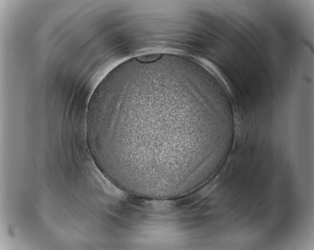 X0000103161244200809051652