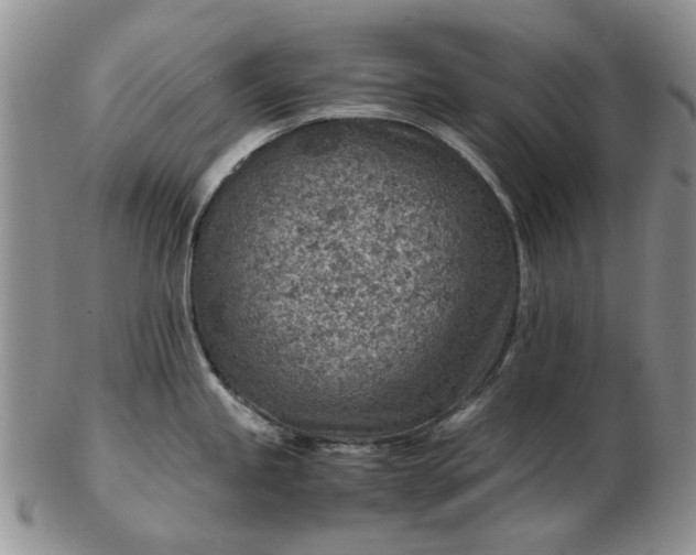 X0000103161245200809051652