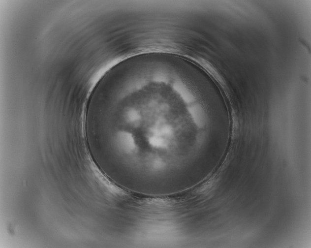 X0000103161246200809051652