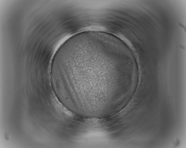 X0000103161248200809051652