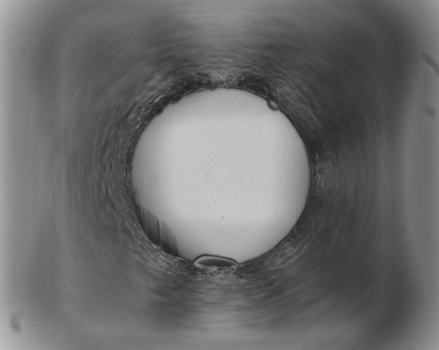 X0000103161249200809051652