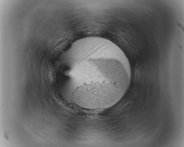 X0000103161250200809051652