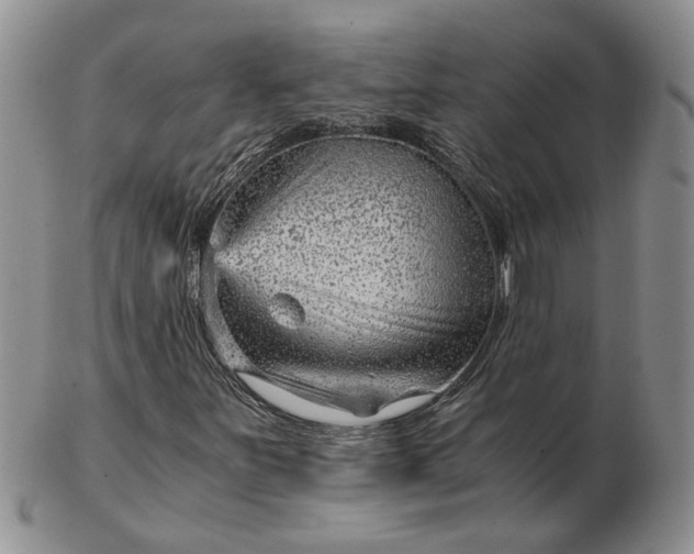 X0000103161251200809051652