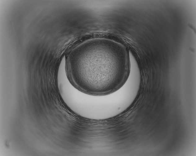 X0000103161252200809051652